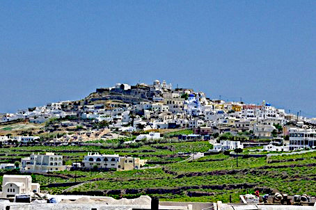Les vignes, un peu à l’extérieur du village de Pyrgos Kallistis, occupent le point culminant de Santorin. Photo © DR